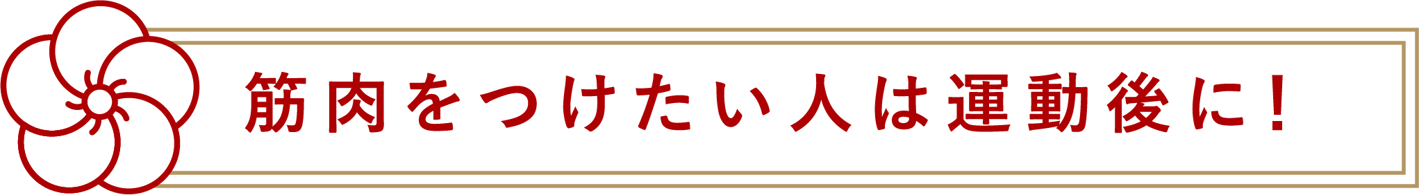 筋肉をつけたい人は運動後に！